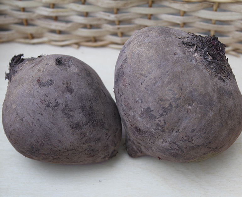 beet4